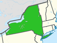 New York Custom Fiberglass Pools