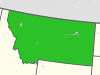 Montana Freeform Fiberglass Pools