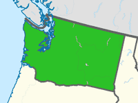 Washington Freeform Fiberglass Pools