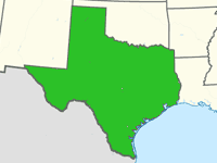 Texas Kidney Fiberglass Pools