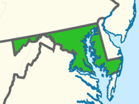 Maryland Lap Fiberglass Pools