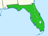 Florida Spool Fiberglass Pools