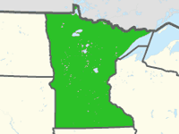 Minnesota Spool Fiberglass Pools
