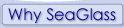 Why SeaGlass Pools