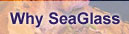 Why Seaglass Fiberglass Swimming Pools